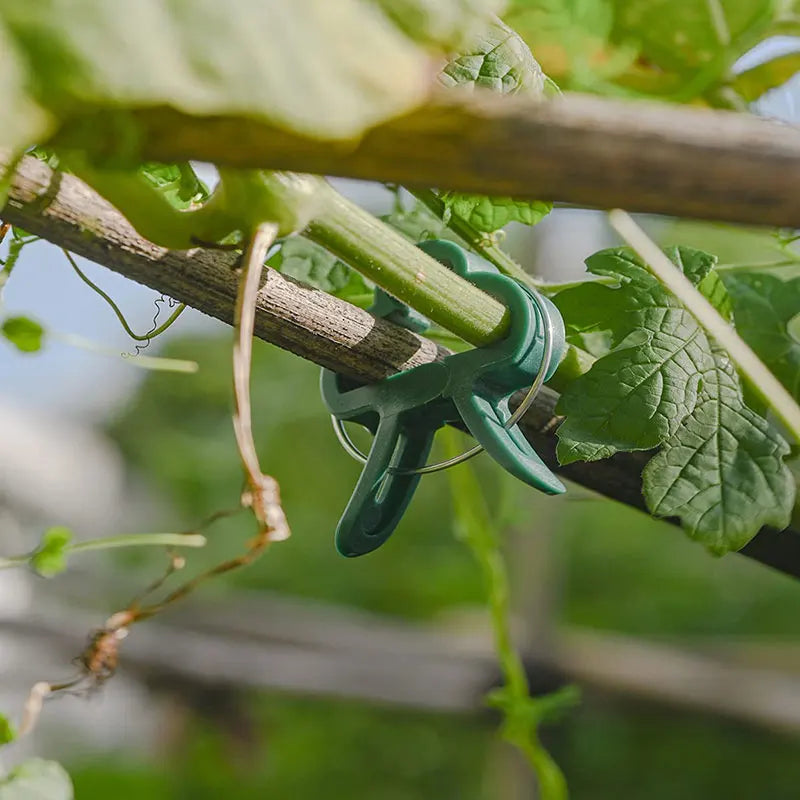 Plant Clips Reusable