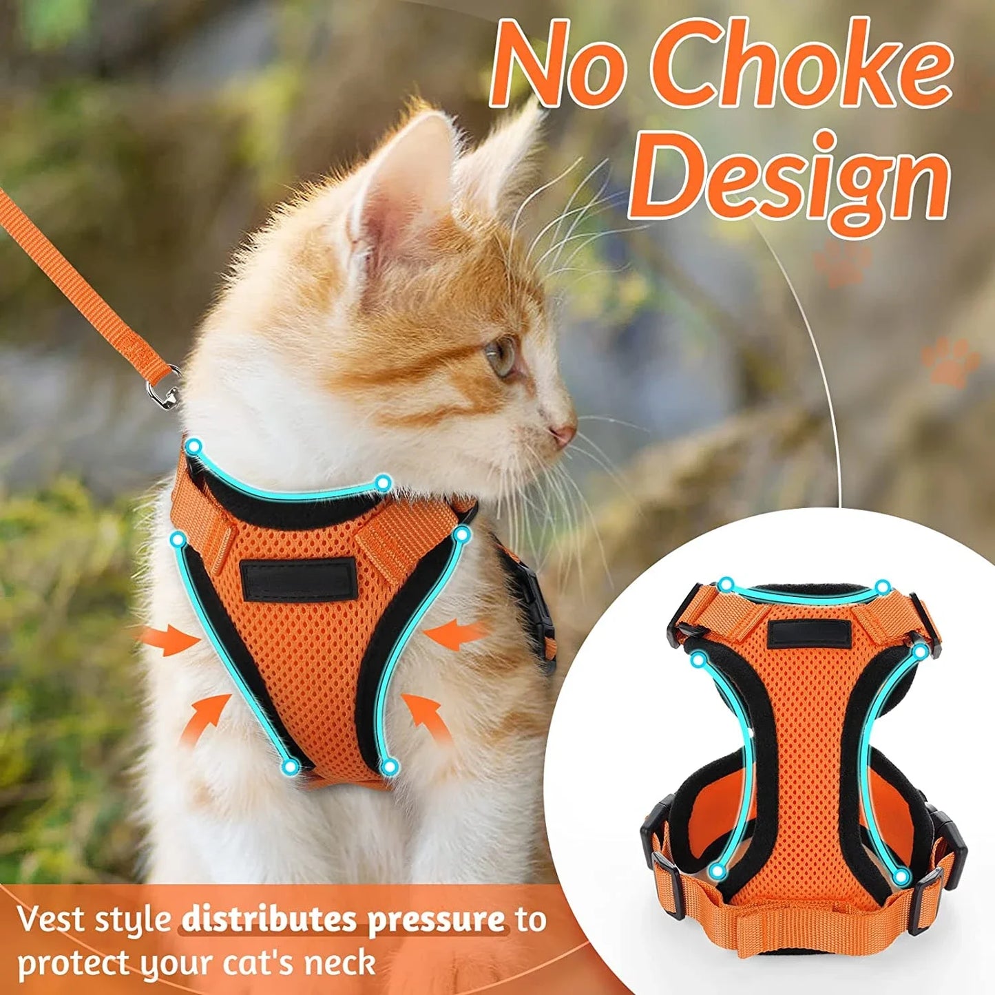 Cat Harness and Lead