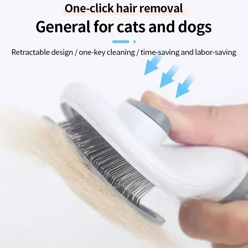 Hair Remover Brush