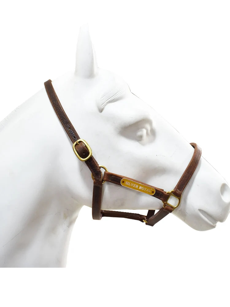 High-Quality Horse Halter