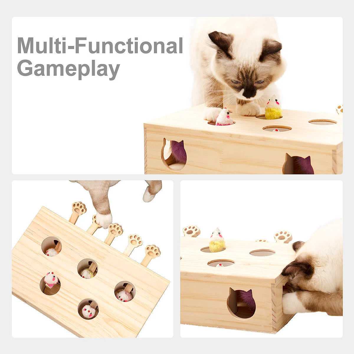 Interactive Pet Toy