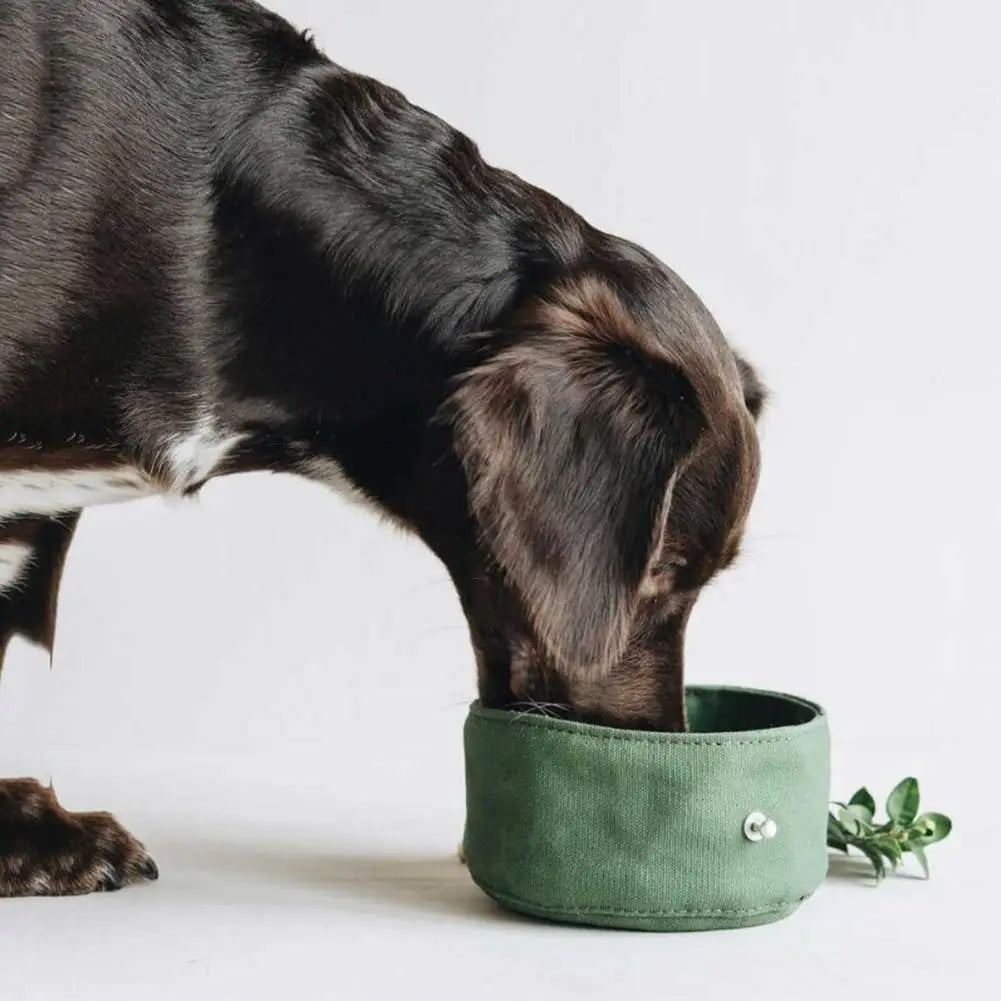 Portable Travel Food & Water Bowls