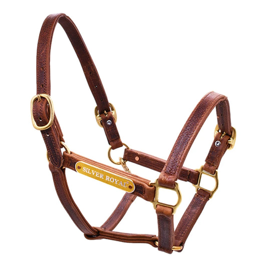 High-Quality Horse Halter