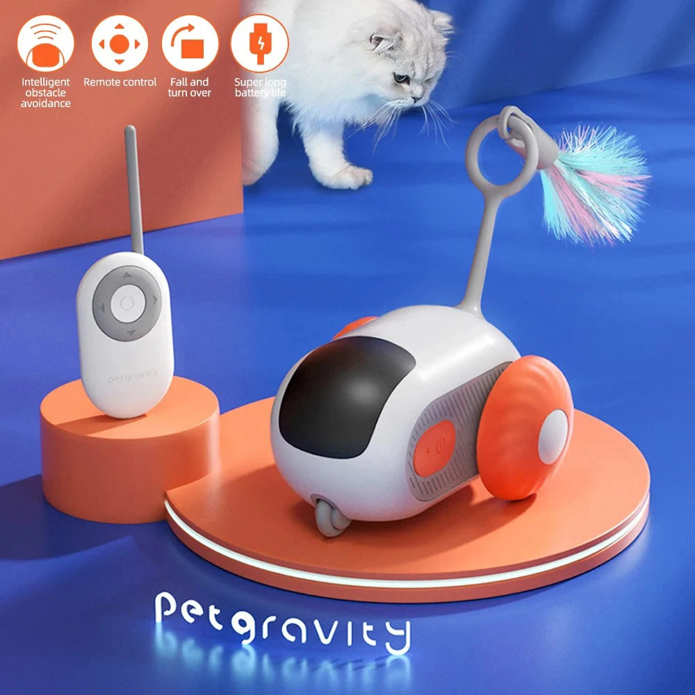 Remote Control Cat Toy