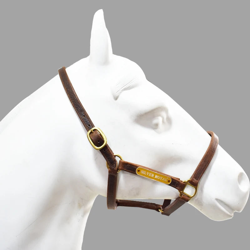 High-Quality Horse Halter