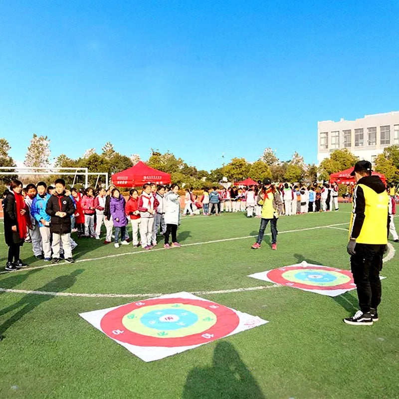 Sandbag Throwing Disc Game