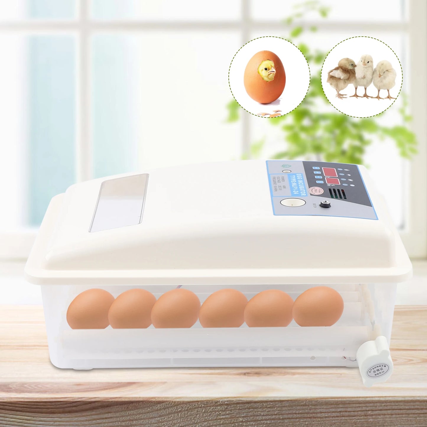 Egg Incubator