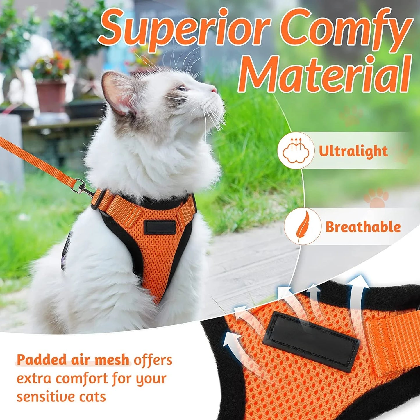 Cat Harness and Lead