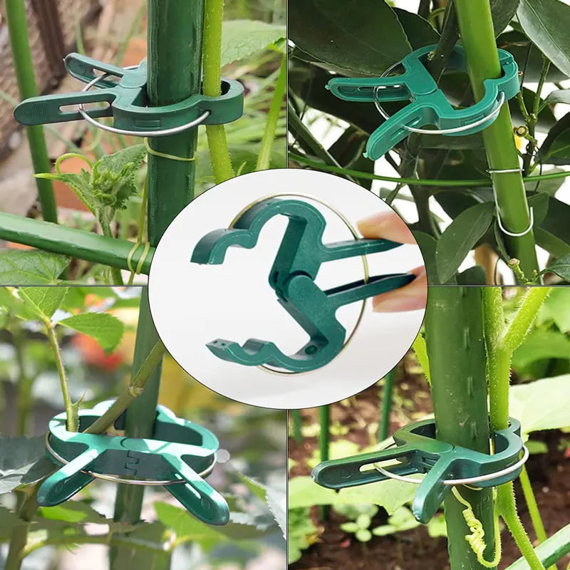 Plant Clips Reusable